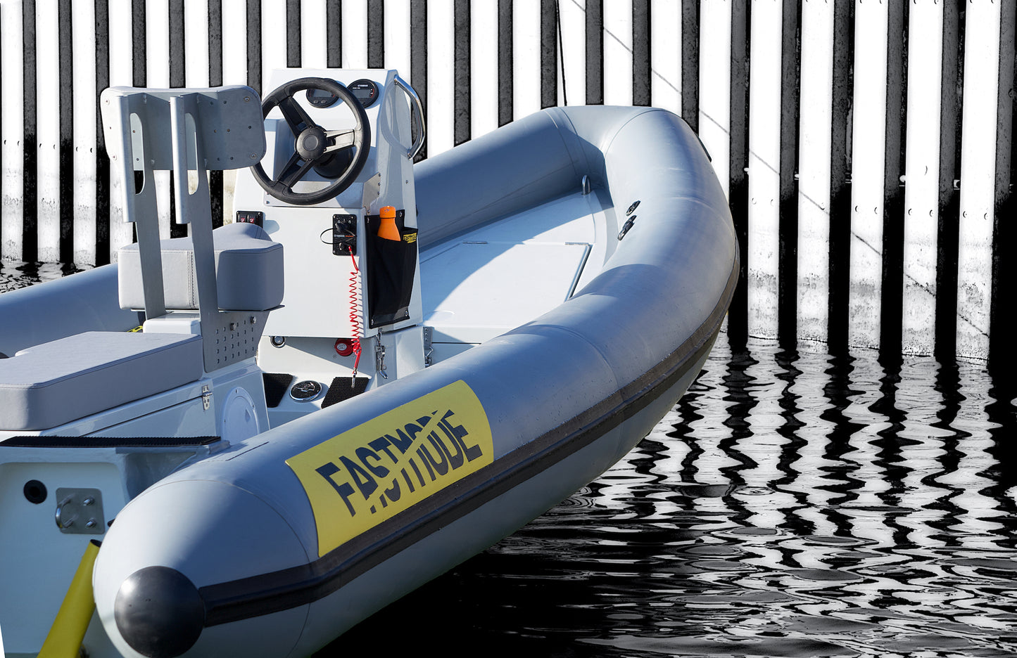 FASTMODE V58 + 4Stroke Mercury 60Hp